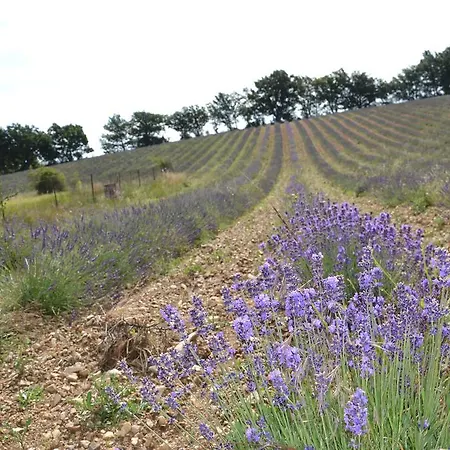 Inattendu Aurel (Vaucluse)